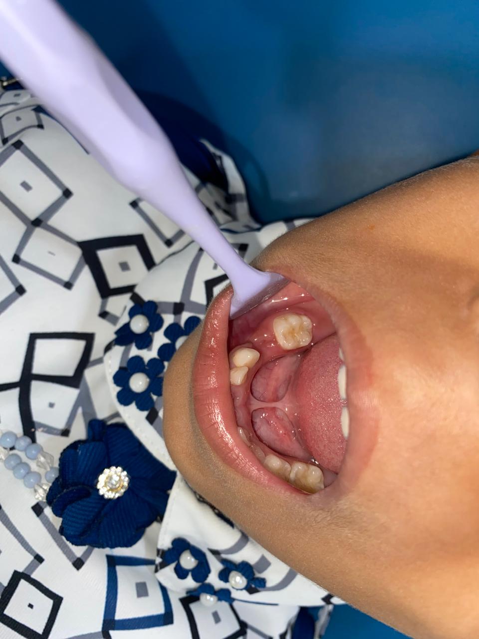 WhatsApp Image 2026-01-08 at 20.02.31 (1)