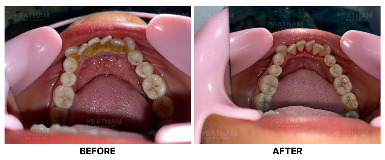 WhatsApp Image 2026-02-20 at 09.30.57